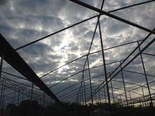 Load image into Gallery viewer, Gotcha Covered Bro - High Winds Destroyed Our Greenhouse Plastic