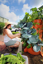 Load image into Gallery viewer, Garden Grow Tower 2 Without Wheels - New Sandstone Color - The Greatest Organic Grow Tower!