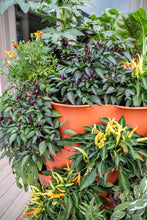 Load image into Gallery viewer, Garden Grow Tower 2 Terra Cotta With Premium Caster Wheels Combo Kit