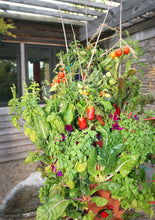 Load image into Gallery viewer, Garden Grow Tower 2 Terra Cotta With Premium Caster Wheels Combo Kit
