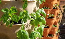 Load image into Gallery viewer, Garden Grow Tower 2 Without Wheels - New Sandstone Color - The Greatest Organic Grow Tower!