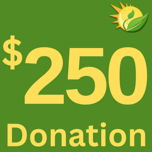 Make A $250 Donation