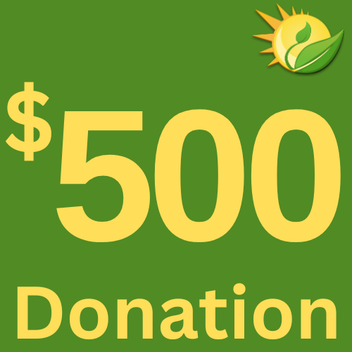 Make A $500 Donation
