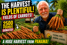Load image into Gallery viewer, Become a "Gleaning" Partner $50 per Month