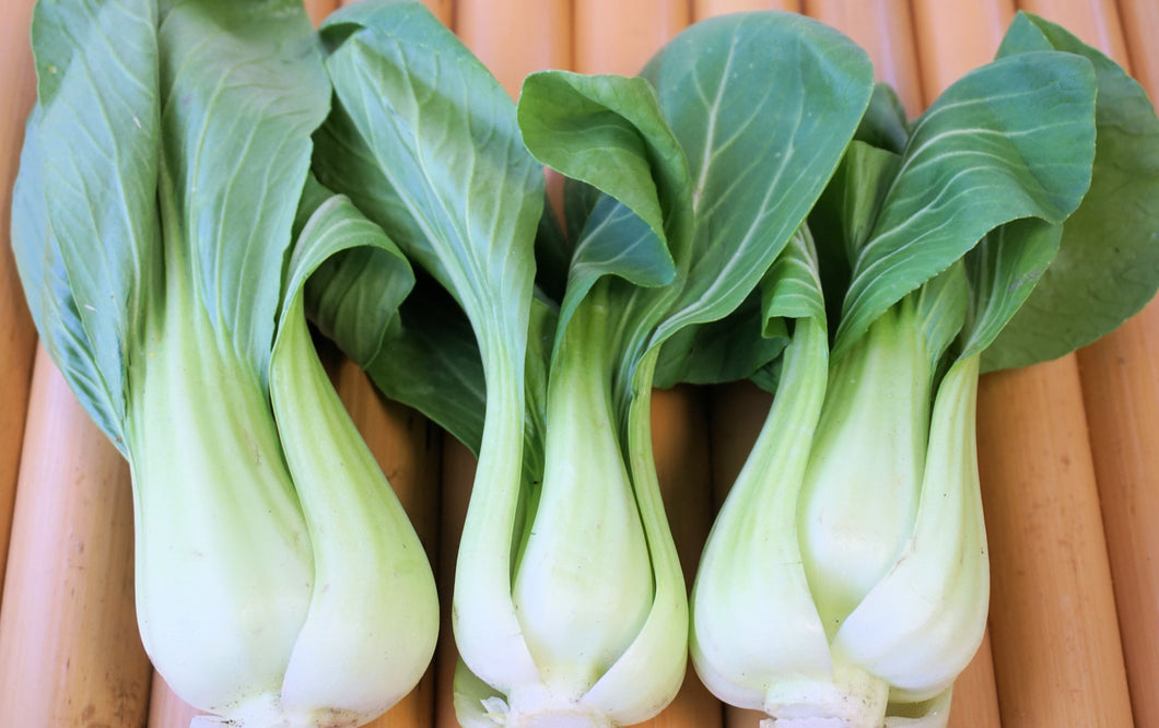 Bok Choy medium or large