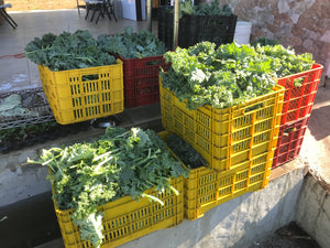 Maintenance Of Our Dehydration Center After 100,000+ Pounds Of Superfood