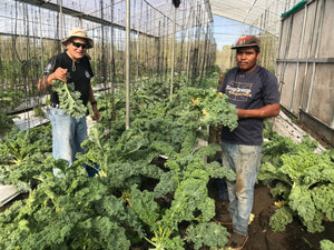 Maintenance Of Our Dehydration Center After 100,000+ Pounds Of Superfood