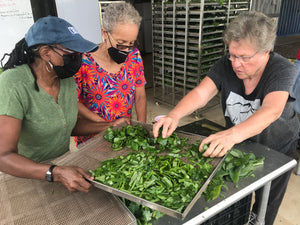 Maintenance Of Our Dehydration Center After 100,000+ Pounds Of Superfood