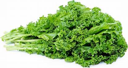 Mustard Greens 1.5 lb bunch