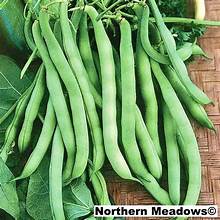Load image into Gallery viewer, Stringless Green Beans 1 lb bag