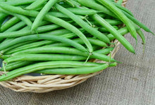 Load image into Gallery viewer, Stringless Green Beans 1 lb bag