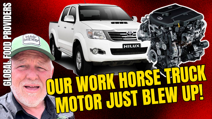 Donate Towards Our Pickup Engine Rebuild - Blew After 420,000 KM