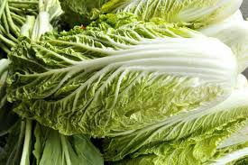Cabbage Chinese