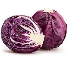 Cabbage Red