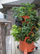 Load image into Gallery viewer, Garden Grow Tower 2 Terra Cotta With Caster Wheel Kit Combo