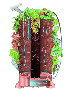 Using Compost & Worms, Your Plants Will Explode In Vibrance.