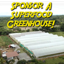 Load image into Gallery viewer, Sponsor A 7,000 sf Super Food Producing Greenhouse!